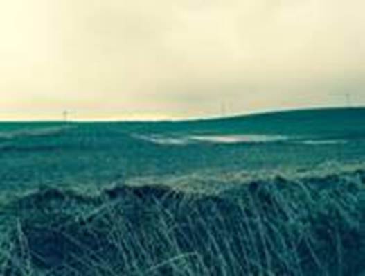 A field of grass with a pond

Description automatically generated